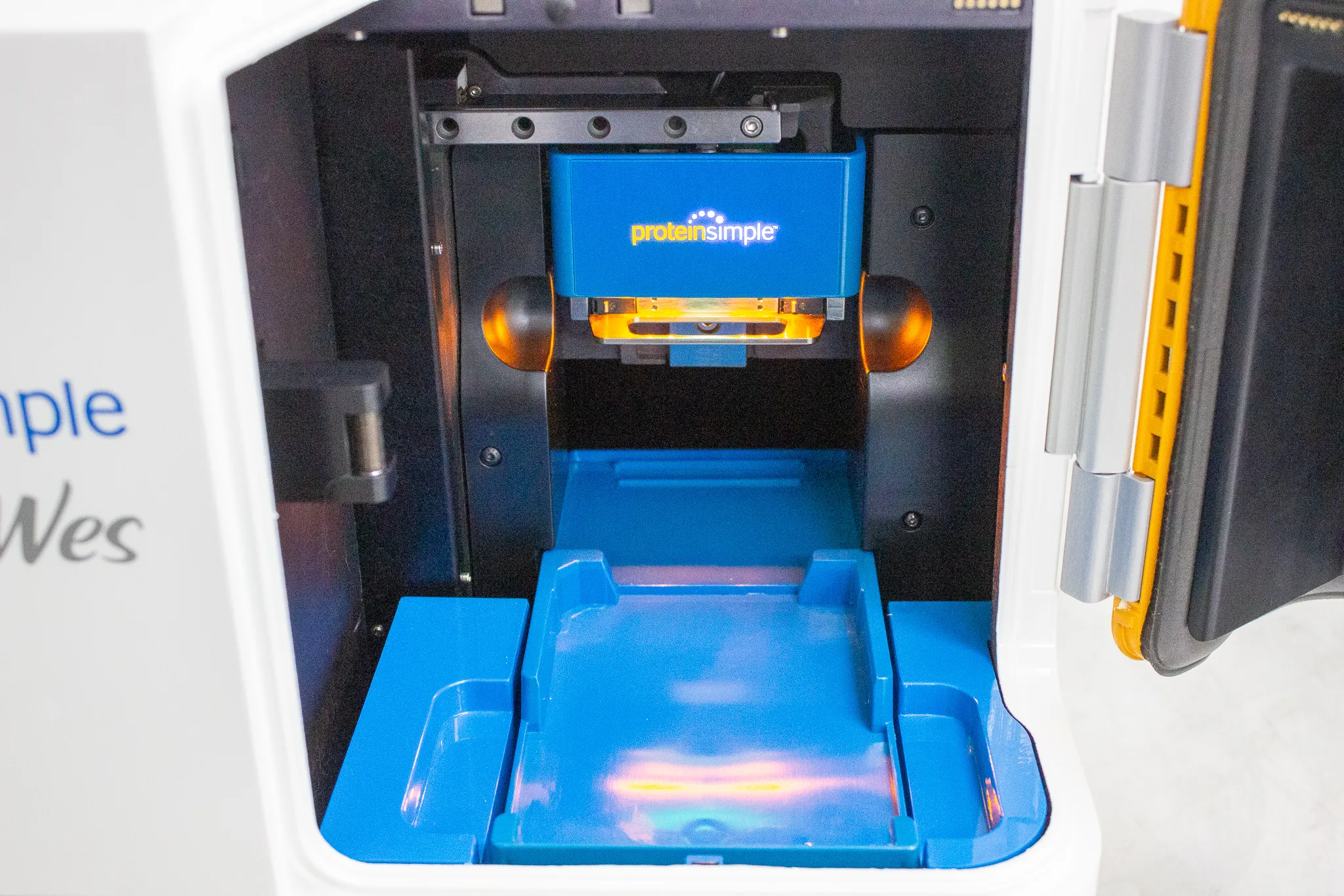 ProteinSimple Wes Western Blot System