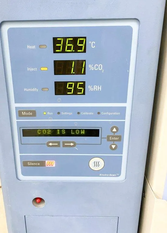 Thermo Scientific Forma Steri-Cult CO2 Incubator 3307