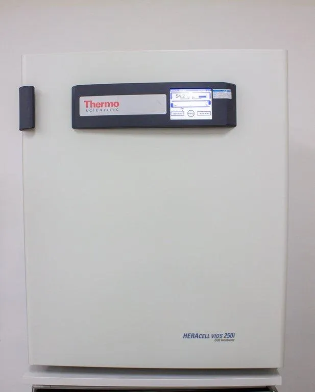 Thermo Scientific Heracell VIOS 250i CO2 Incubator