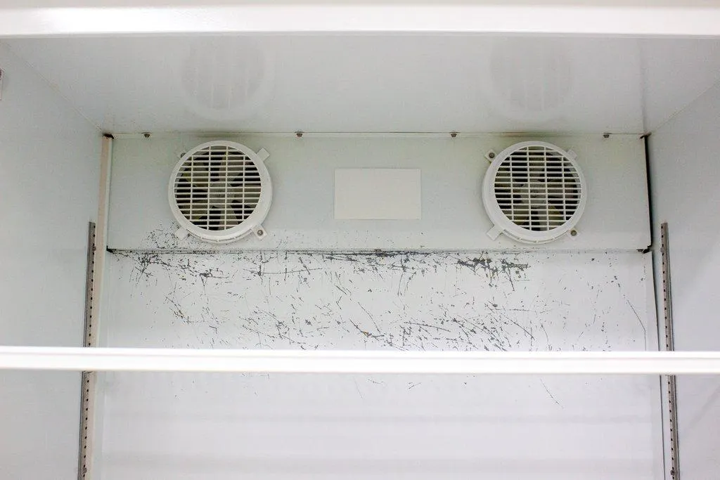 Fisher Isotemp Incubator Model 304 Refrigerated 10C-40C 32in Width Used