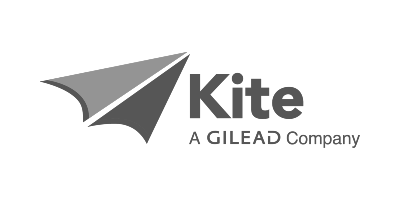 Kite