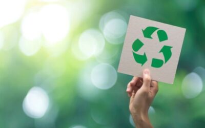 5 Ways to Reduce Waste in the Lab